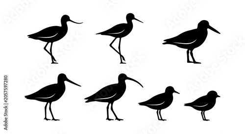 Photos Shorebird Silhouettes Collection, Wading Bird Vector Icons, Coastal Wildlife Set