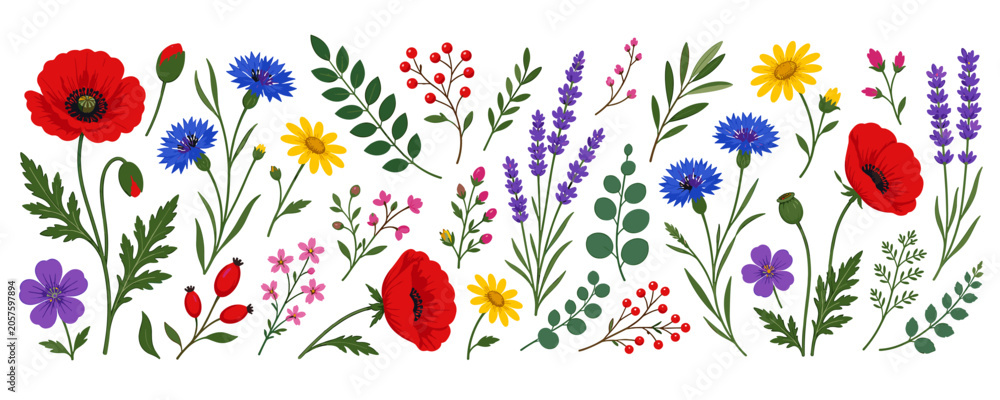 Obraz premium Collection of colorful wildflowers and herbs in a decorative pattern
