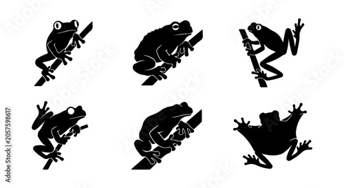 Vászonkép Black Frog Silhouettes on Branches, Amphibian Vector Icons, Wildlife Art Set