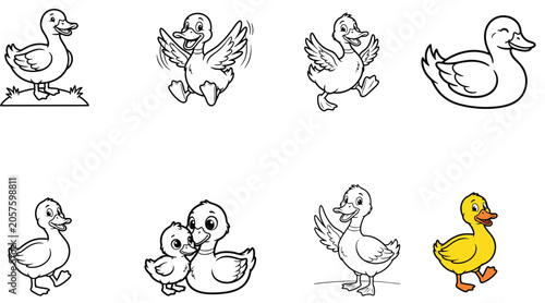 Bild auf Leinwand Cute cartoon duck characters in different poses and coloring page outlines vecto