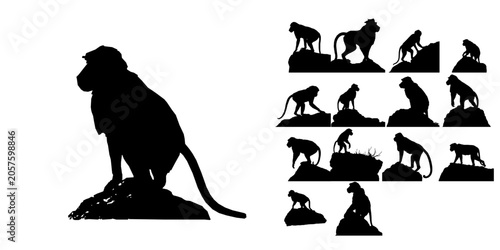 Canvas Print Baboon Silhouette Icon