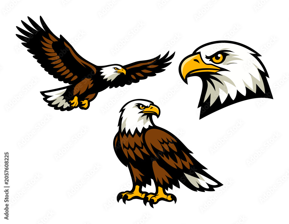 Fototapeta premium Bald eagle collection featuring a flying bird, a perch view, and a head profile, ideal for team logos and emblems