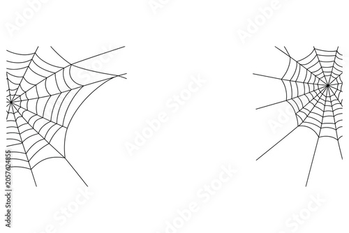 Two black spider web on white background, cobweb halloween