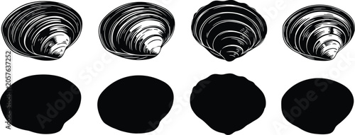Fotografi Clam shell vector illustration set with detailed line art and black silhouettes