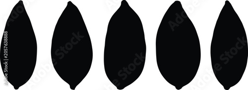 Sweet potato silhouette vector illustration set featuring five vertical organic root vegetables for healthy diet culinary recipe and farm marketing design.