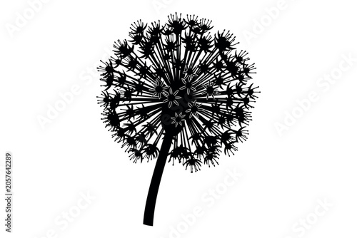 Photos Delicate dandelion silhouette a black and white botanical illustration with seed