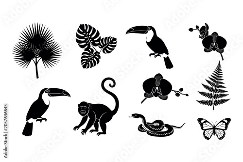 Photography Tropical silhouette collection toucans monkeys snakes and lush foliage in black