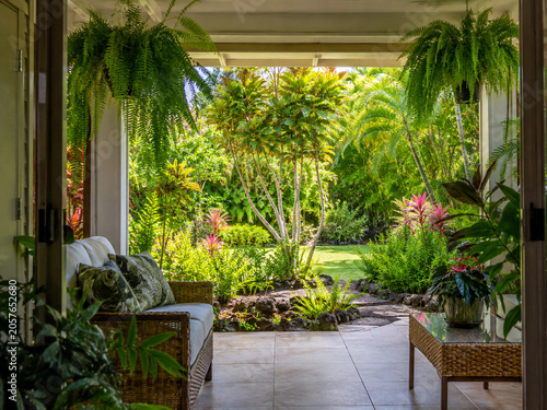 lanai. View from inside a lanai with ferns and flowering plants framing the opening. travel magazines, destination branding, designed for outdoor magazines and nature guides.