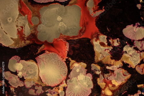Liquid art, using water, paint, soap, oil and inks. Macro photos. Various colors and textures.