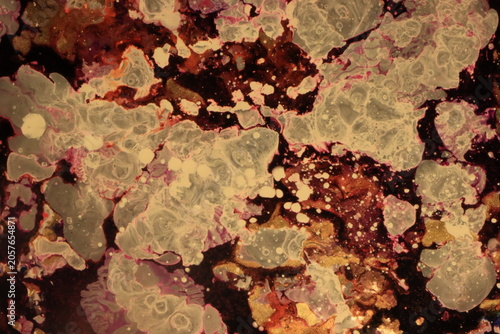Liquid art, using water, paint, soap, oil and inks. Macro photos. Various colors and textures.