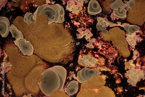 Liquid art, using water, paint, soap, oil and inks. Macro photos. Various colors and textures.