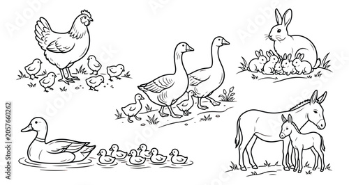 Quadro su tela Farm animal line art collection, hand drawn livestock and poultry set, rustic ba