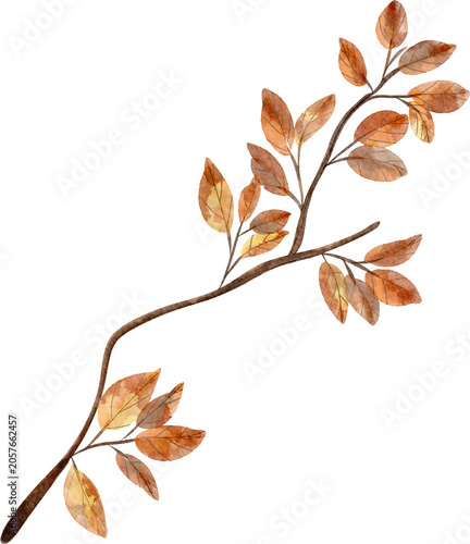 watercolor autumn twig with leaves