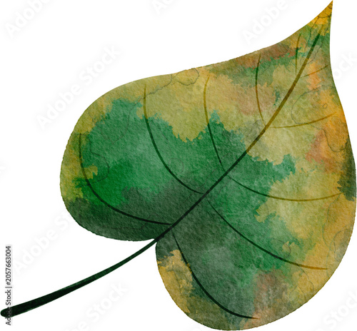 watercolor autumn green leaf