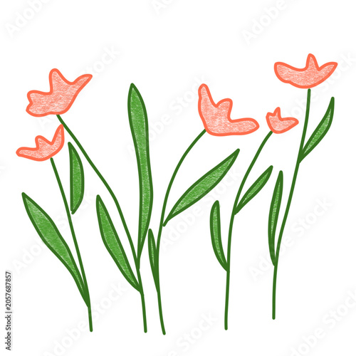 Abstract Wild Floral Illustration with Pink Flowers and green leaves Isolated on Transparent Background