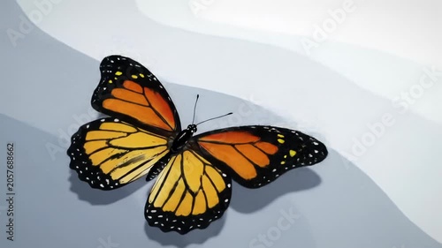 Elegant, stylized digital butterfly with orange/yellow wings flying gracefully over a pristine, minimalist digital surface, enhanced by slow tracking video and soft light. Concept of digital elegance
