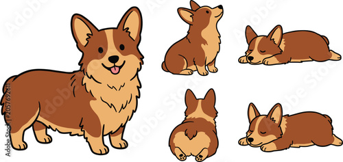 Cute corgi dog vector character set featuring pembroke welsh corgi standing sitting sleeping lying down and fluffy butt views
