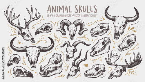 Konstfotografi Vintage Animal Skulls Engraving Style Illustration Set with Longhorn Bull, Deer