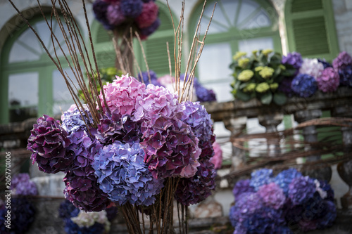 Palladian Spring 2025 – Cultural Festival at the Palladian Villa of Syam