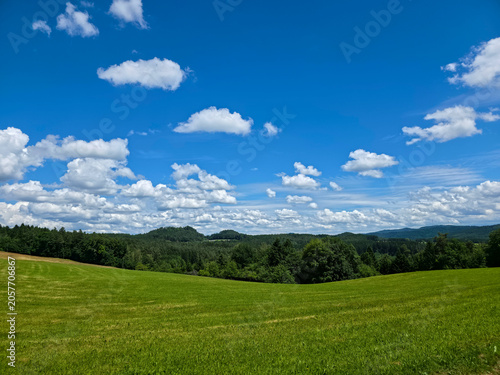 Obraz na płótnie germany, flourishing pasture foreground with forest backdrop and flawless summer