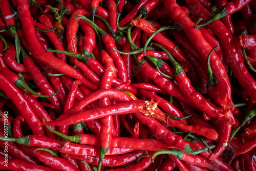 Hot red chili pepper or Capsicum frutescens for cooking, shallow focus