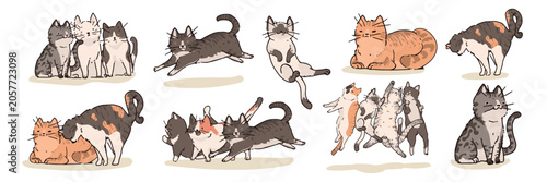 Fotografie Vector illustration of playful cats in various poses and colors.