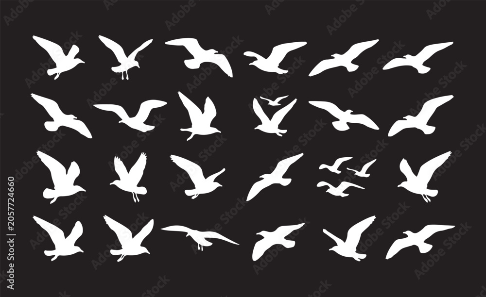 Fototapeta premium A collection of minimalist white seagull silhouettes captured in various flying poses against a solid black background.
