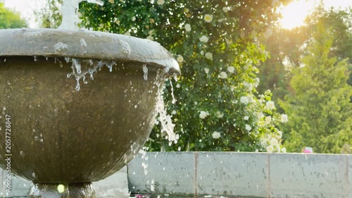 A classic stone fountain overflows with fresh water against a blooming rose bush. The warm sunrise creates a hopeful and joyful energy. This close scene feels refreshing and serene.