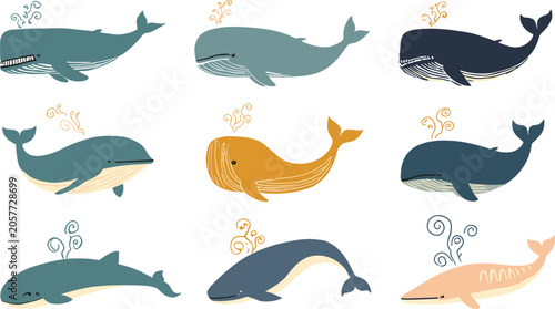 Tableau sur toile Hand Drawn Whale Vector Clipart Set with Sperm, Humpback, and Blue Whales Spouti