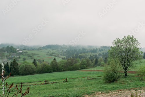 Misty Green Hills and Wetland Landscape in Countryside, Carpathian, Ukraine