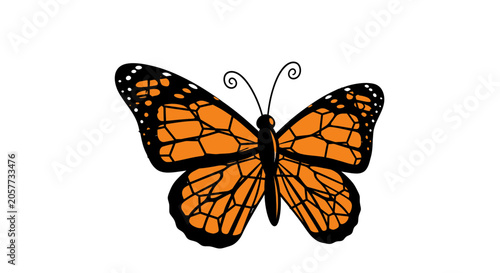 Foto Detailed Monarch Butterfly Wings Spread Wide.