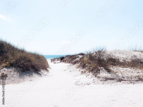 Sand Dune Path to Blue Ocean