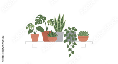 Potted plants on a shelf indoors.