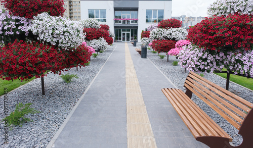Modern pedestrian walkway with colorful flowering shrubs, bench and landscaped urban courtyard