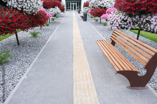 Modern pedestrian walkway with bench and colorful flowering shrubs in landscaped courty