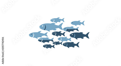 Photos School of Blue and Black Fish.