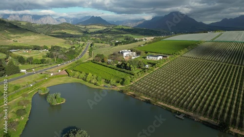 Road leads between vineyards toward Stellenbosch town and mountains, jib up