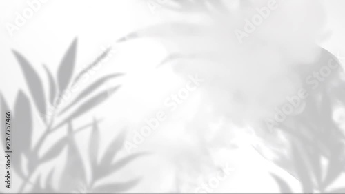 Minimalist white vapor mist drifting over clean grey leaf shadow loop / 白い壁とグレーの葉の影の上を滑らかに流れる極薄の白い蒸気ミニマル抽象ループ 2