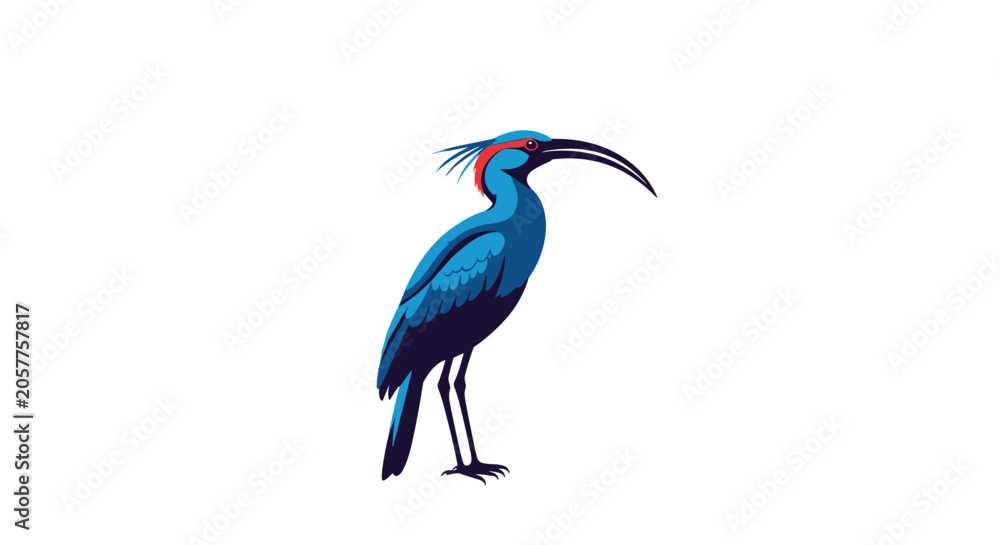 Obraz premium Elegant blue ibis bird with a long curved beak and red feathers detail isolated on a white background.