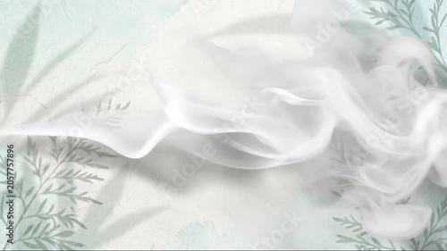 Ultra thin white vapor mist drifting over botanical shadow loop / 繊細な植物の影をかすめるように流れる極薄の白いミスト抽象ループ1