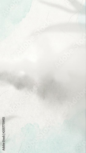 Ultra thin white vapor mist drifting over botanical shadow loop / 繊細な植物の影をかすめるように流れる極薄の白いミスト抽象ループ4