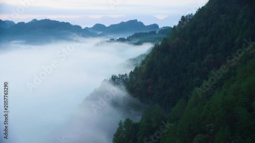 Misty Mountain Forest Above Sea of Clouds at Dawn