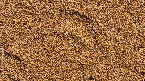 Foto Macro shot of coarse sand and small pebbles texture background