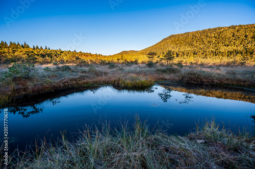Schilderij op canvas Hidden peat bog pond at sunrise in Mohos Nature Reserve near Saint Anne Lake, Harghita County, Romania, in a tourist-restricted area not open to public access