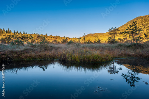 Schilderij op canvas Hidden peat bog pond at sunrise in Mohos Nature Reserve near Saint Anne Lake, Harghita County, Romania, in a tourist-restricted area not open to public access