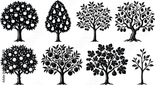 Photos Collection of fruit tree silhouettes including apple pear cherry peach and orang