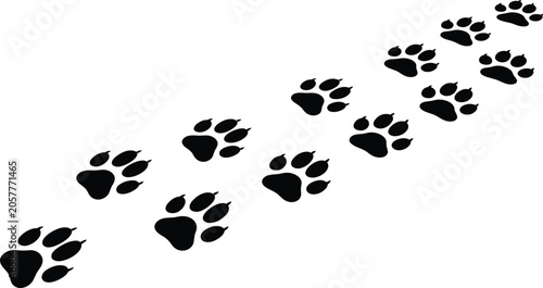 Foto Animal paw print silhouettes arranged diagonally for tracking and movement vecto