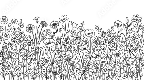 Seamless black and white floral border featuring intricate wild flowers and leaves hand drawn line art style on transparent background.
