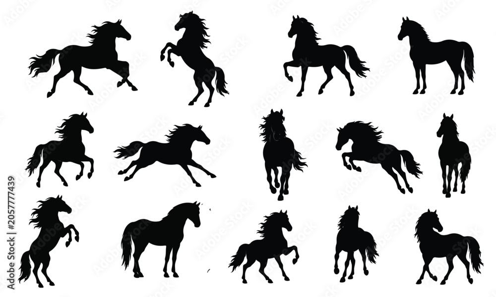 Fototapeta premium Horse silhouette set featuring wild stallions running rearing jumping and standing in various action poses isolated on white background for vector graphic design