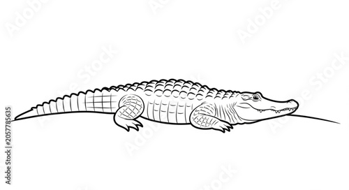 Fotografie Illustration of a Crocodile or Alligator